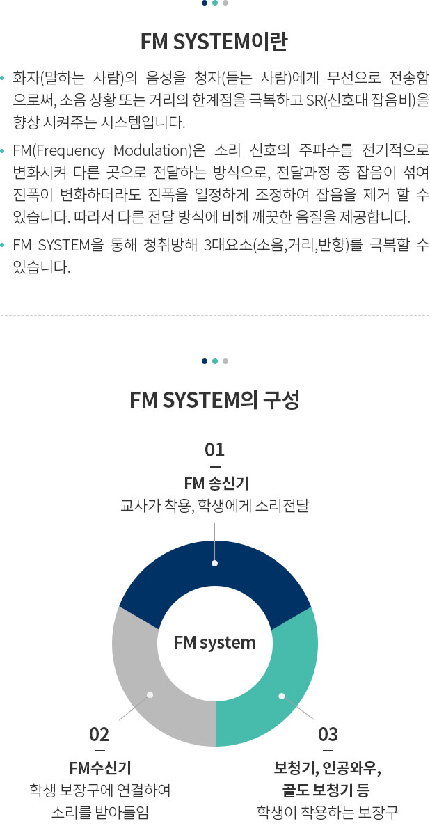 FM SYSTEM 이란
